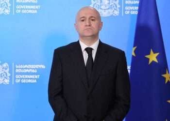 Сулхан Тамазашвили назначен министром внутренних дел Грузии