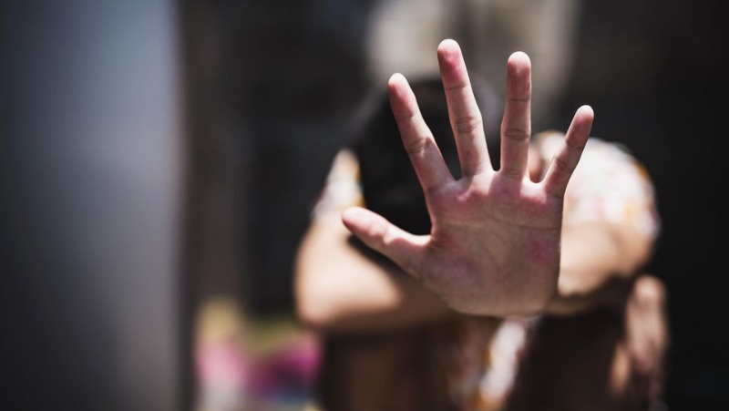 მამაკაცზე, რომელსაც მეუღლის შვილიშვილის გაუპატიურება ედება ბრალად, ახალი ინფორმაცია ვრცელდება