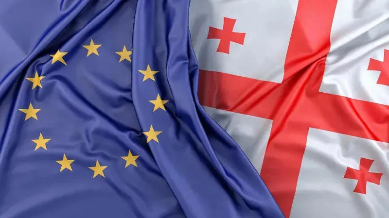 ევროკავშირის საელჩო – უწყვეტი და მიზანმიმართული რიტორიკა ევროკავშირის წინააღმდეგ ძირს უთხრის საქართველოს ევროკავშირისკენ სწრაფვის დამაჯერებლობას – ევროკავშირი საკუთარი ოჯახის წევრობას არავის აიძულებს