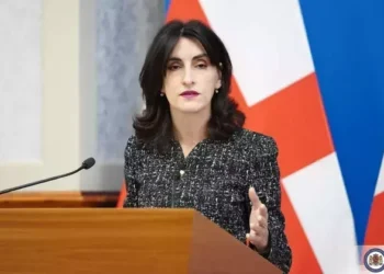 Мака Бочоришвили – С делегацией Госдепа США мы обсудили вопросы, которые являются важными в процессе перезагрузки отношений между двумя странами, к концу месяца мы ждем еще одну делегацию