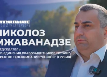 Мы должны идти по пути Беларуси-Николоз Мжаванадзе (видео)